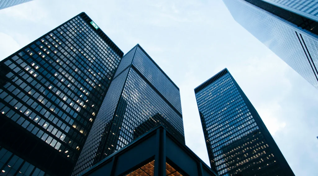 What is an e-money institution (EMI)?