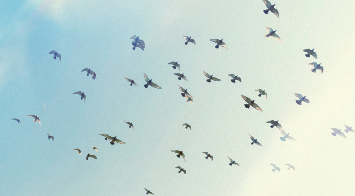 Setting Banking Free: Introducing the Xtensible Core